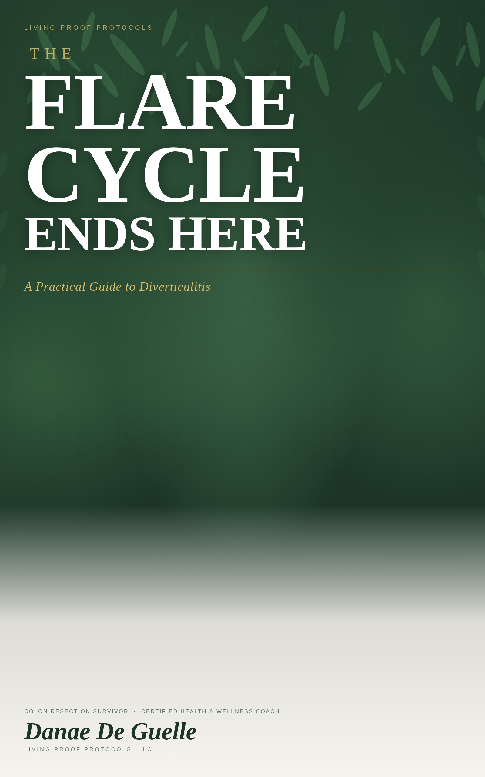The Flare Cycle Ends Here book cover
